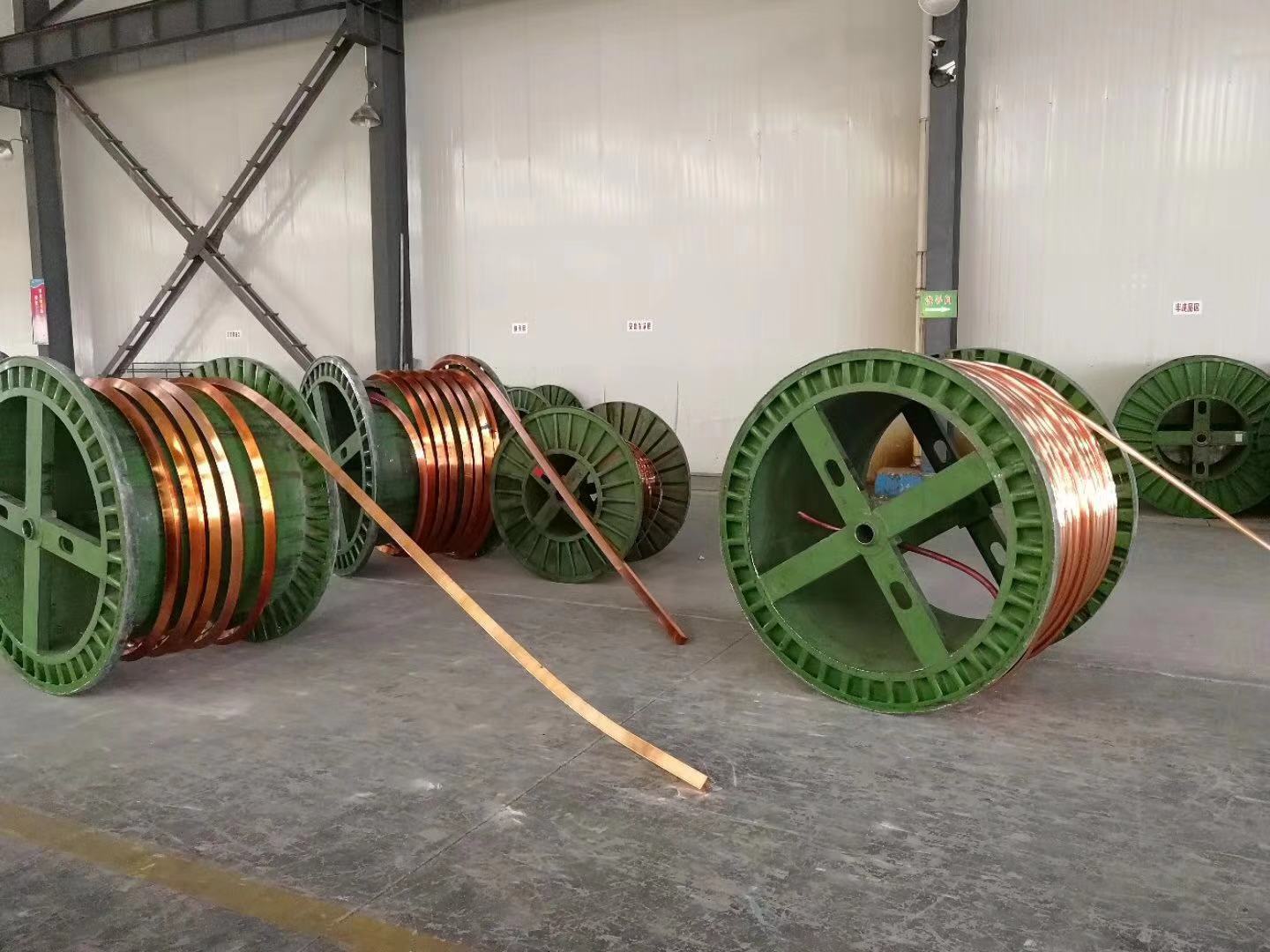 紫銅（tóng）排